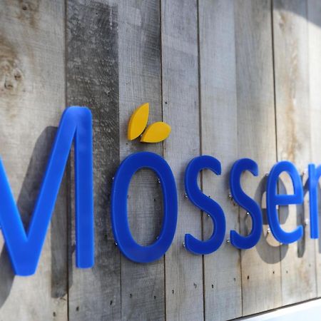ホテル Moessems デーネカンプ エクステリア 写真